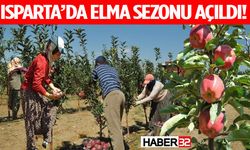 Isparta’da Elma Sezonu Açıldı! Hasat Başladı