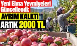 Yeni Elma Yevmiyeleri Güncellendi: Artık 2000 TL