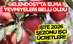 Gelendost’ta Elma Yevmiyeleri Belli Oldu: İşte 2026 Sezonu İşçi Ücretleri!