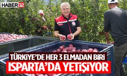 Türkiye’de Her 3 Elmadan Biri Isparta’da Yetişiyor