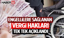 Engellilere Sağlanan Vergi Hakları Tek Tek Açıklandı