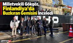 Vekil Gökgöz Finlandiya’da Buzkıran Gemisini İnceledi