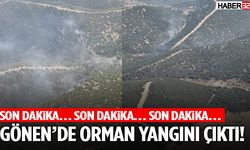 Gönen’de Orman Yangını Çıktı!