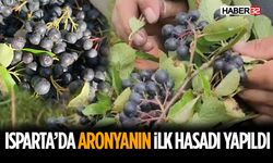 “Olur mu?” Diye Dikmişti! 3 Yıl Sonra İlk Hasadı Aldı
