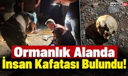 Ormanlık Alanda İnsan Kafatası Bulundu!