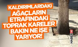Kaldırımlardaki Ağaçların Etrafındaki Toprak Kareler Bakın Ne İşe Yarıyor