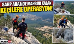 Sarp Arazide Mahsur Kalan Keçilere Operasyon!