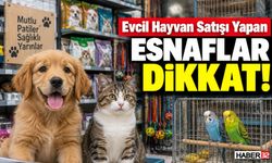 Evcil Hayvan Satışı Yapan Esnaflar Dikkat!