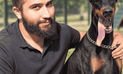 İstanbul’da Köpek Eğitim Uzmanı Murat Güngör’den Profesyonel Pet Otel Hizmeti