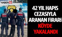 42 Yıl Hapis Cezasıyla Aranan Firari Köyde Yakalandı