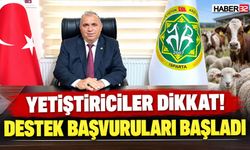 Yetiştiriciler Dikkat! Destek Başvuruları Başladı