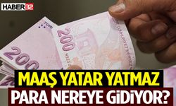 Maaş Yatar Yatmaz Para Nereye Gidiyor? Rakamlar Şaşırttı