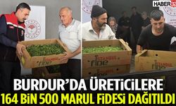 Burdur’da Üreticilere 164 Bin 500 Marul Fidesi Dağıtıldı