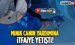 Minik Canın Yardımına İtfaiye Yetişti!