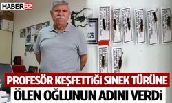 Profesör Keşfettiği Sinek Türüne Ölen Oğlunun Adını Verdi