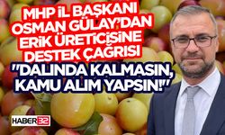 MHP İl Başkanı Osman Gülay’dan Erik Üreticisine Destek Çağrısı
