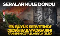 Yangında seralar küle döndü