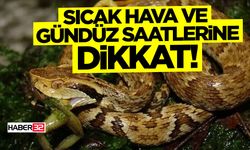 Sıcak Hava ve Gündüz Saatlerine Dikkat!
