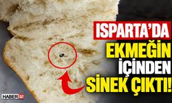 Isparta'da Ekmeğin İçinden Sinek Çıktı!