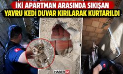 Yavru Kedi İçin Duvarı Deldiler!
