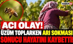 Acı Ölüm! Üzüm Toplarken Arı Sokması Sonucu Öldü!