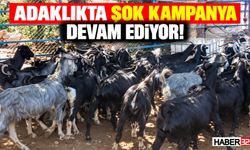 Adaklıkta Şok Kampanya Devam Ediyor! Seç - Al: 9 Bin TL