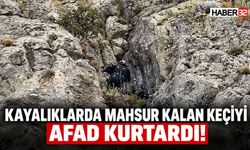 Kayalıklarda Mahsur Kalan Keçiyi AFAD Kurtardı!