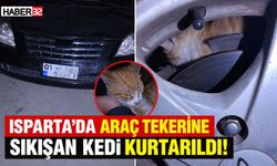 Isparta’da Araç Tekerine Sıkışan Kedi Kurtarıldı!