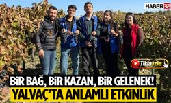 Yalvaç’ta Gençler Üzüm Hasadı ve Pekmez Geleneğini Yerinde Öğrendi