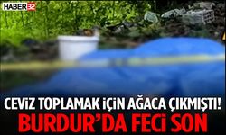 Ceviz Toplamak İçin Ağaca Çıkmıştı! Burdur’da Feci Son