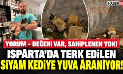 Yorum - Beğeni Çok, Sahiplenen Yok!