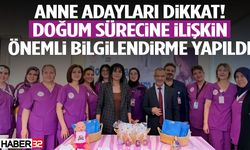 Anne Adayları Dikkat! Bu Haber Sizin İçin