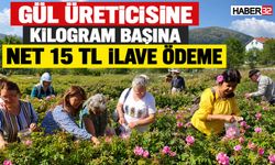 Gül Üreticisine 15 Lira İlave Ödeme!