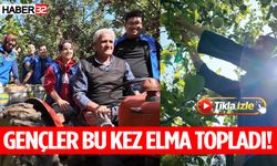 Eğirdir’de Gönüllü Elma Hasadı Gerçekleştirildi