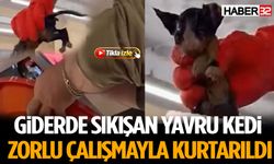 Giderden Gelen Sesler Gerçeği Ortaya Çıkardı: Yavru Kedi Kurtarıldı