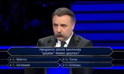 Türk Dil Kurumu Sözlük Tanımlarında Kuş Türleri: Hangisinin Tanımında "Göçebe" İfadesi Yer Almaz?