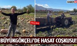 Büyükgökçeli’de Hasat Coşkusu!