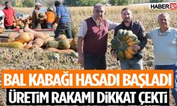 Isparta’da Bal Kabağı Hasadı Devam Ediyor