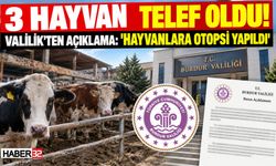 O Köyde Hayvanlar Telef Oldu: Valilik'ten Açıklama...