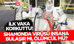 Shamonda Virüsü İnsana Bulaşır Mı, Ölümcül Mü?