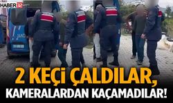 2 Keçi Çaldılar, Kameralardan Kaçamadılar!