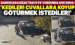 Şok! 'Kedileri Çuvala Koyup Götürmek İstediler' İddiası!