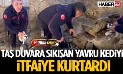 Isparta’da Örme Taş Duvarın Arasına Sıkışan Yavru Kedi Kurtarıldı