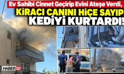 Ev Sahibi Ateşe Verdi, Kiracı Tırmanarak Kediyi Kurtardı!