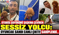 Otobüs Koltuğunda Bırakılan Köpeği Sahiplendi!