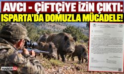 Avcı - Çiftçiye İzin Çıktı: Isparta'da Domuzla Mücadele!