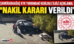 Kaymakamlıktan Kedi Açıklaması: "Nakil Kararı Verildi"