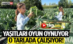 Yaşıtları Oyun Oynuyor, O Tarlada Çalışıyor!