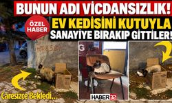 Bunun Adı: Vicdansızlık! Kutuyla Sanayiye Bırakıp Gittiler!