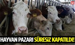 Isparta’da Hayvan Pazarı Süresiz Kapatıldı!